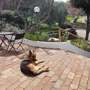 La Casa Di Cosa Bed & Breakfast