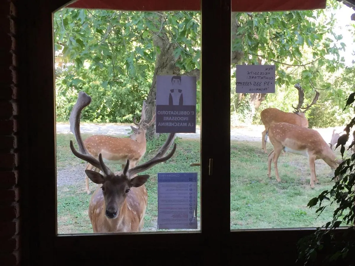 Bed & Breakfast Hotel Giogliano Radicondoli